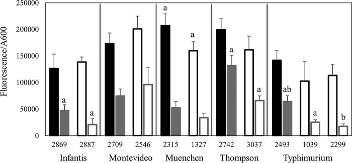 FIG 2