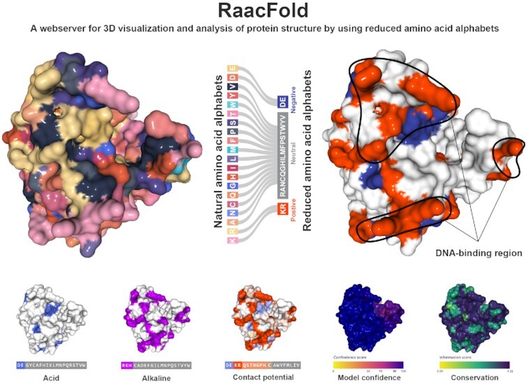 Graphical Abstract