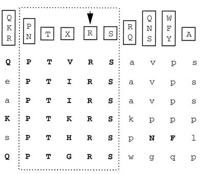 graphic file with name jv04815890t2.jpg