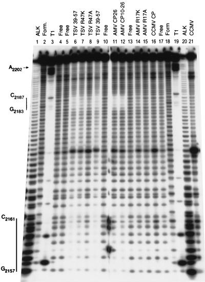 FIG. 5
