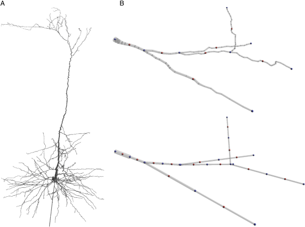 Figure 2