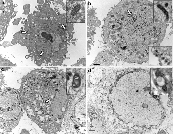 Fig. 10