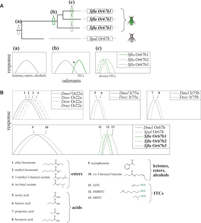 Fig. 7.