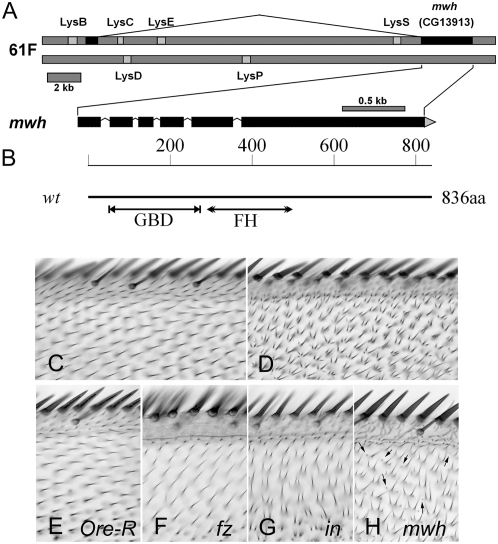 Figure 1.—