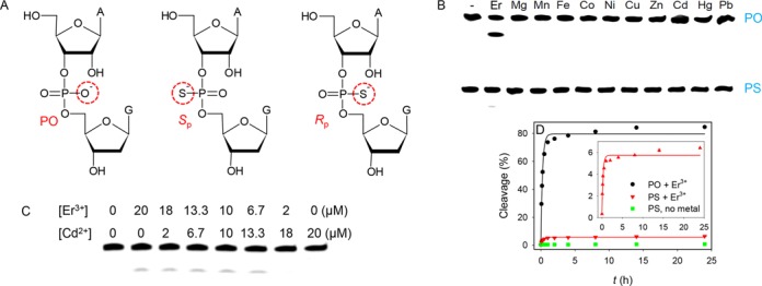 Figure 5.