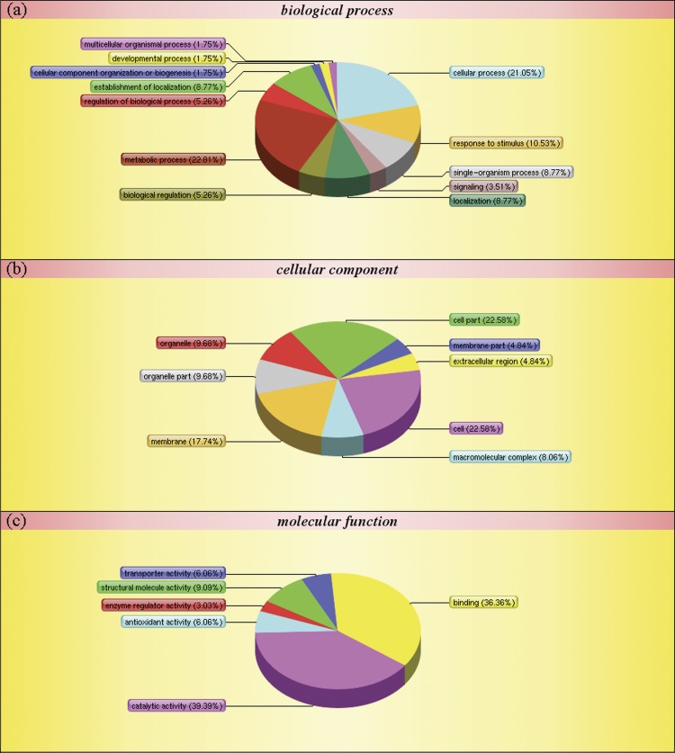 Fig 5