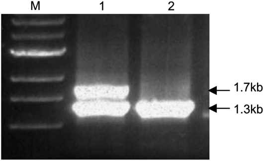 Figure 1.