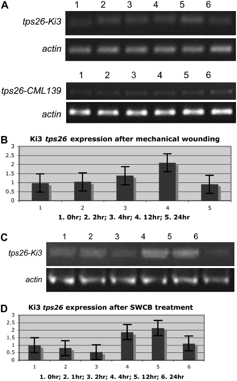 Figure 7.