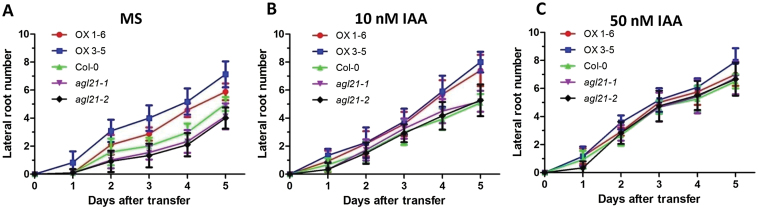 Figure 7