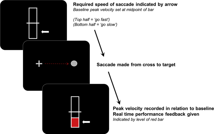 Fig. 1