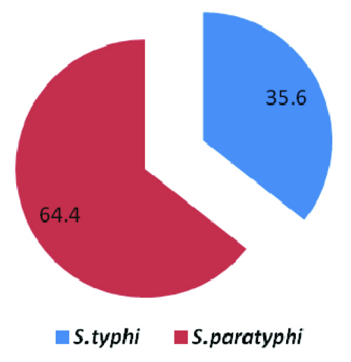 [Table/Fig-4]: