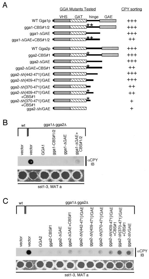 FIG. 6