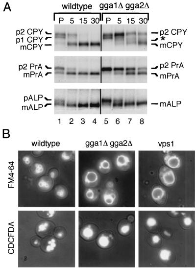 FIG. 1