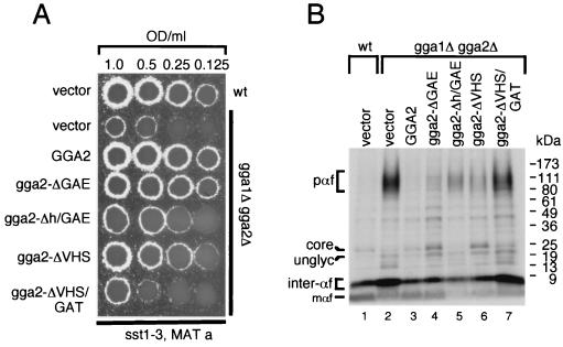 FIG. 4