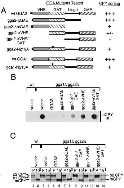 FIG. 3