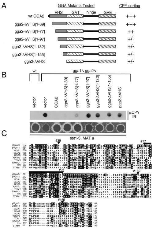 FIG. 7