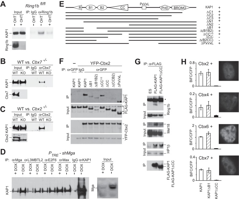 FIG 1