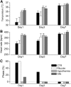 <b>FIG. 2.</b>