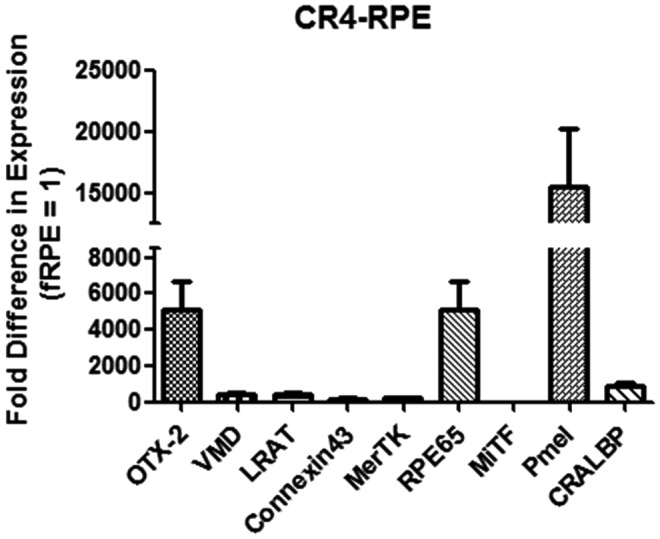 FIG. 1.