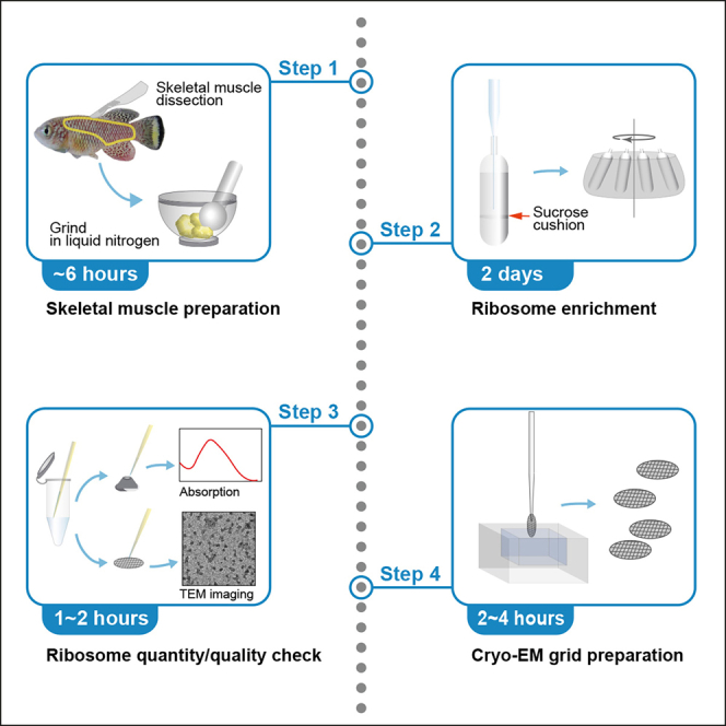 graphic file with name fx1.jpg