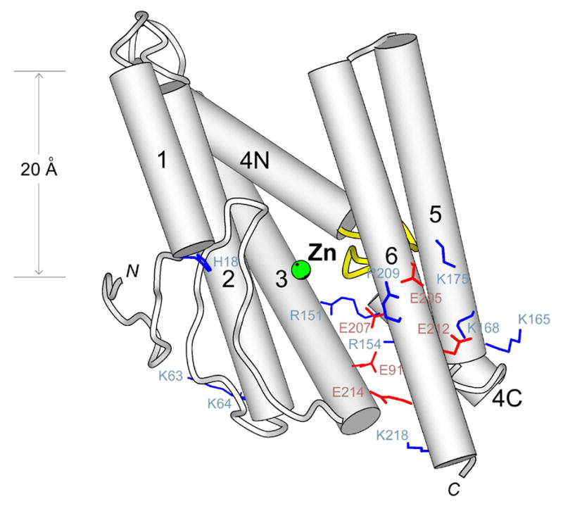 Fig. 8