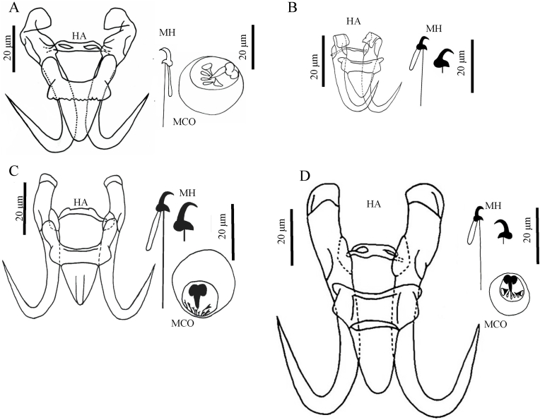 Fig. 3