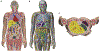 Figure 7.