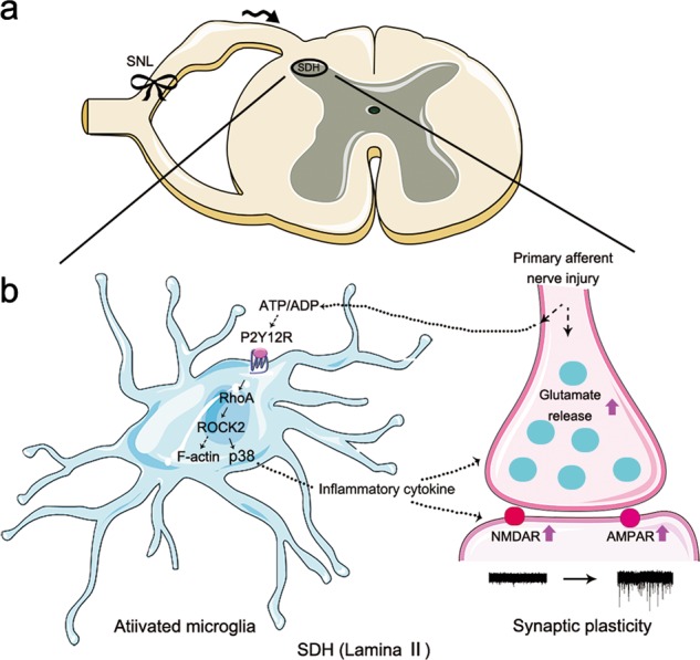 Fig. 8