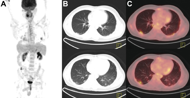 Fig 5