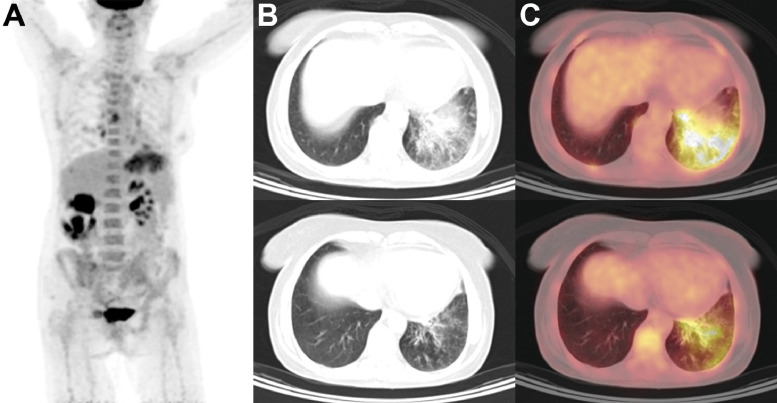 Fig 6