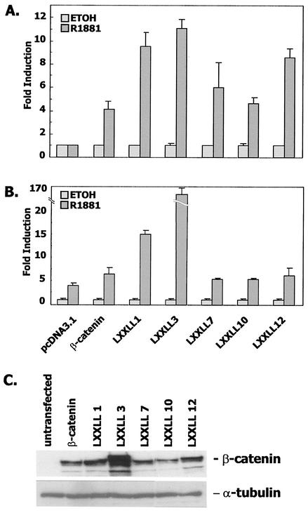 FIG. 7.