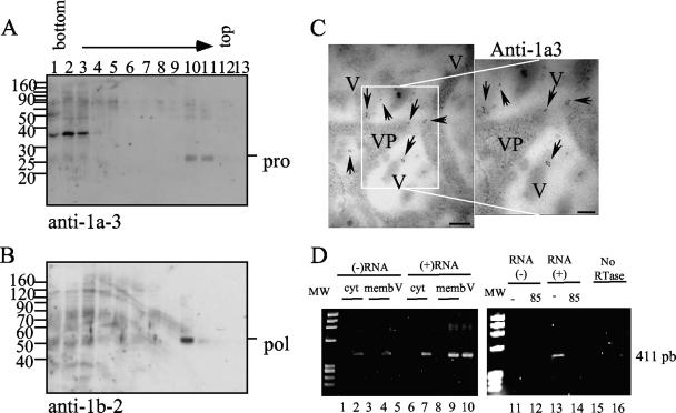 FIG. 9.