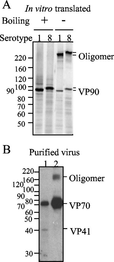 FIG. 5.