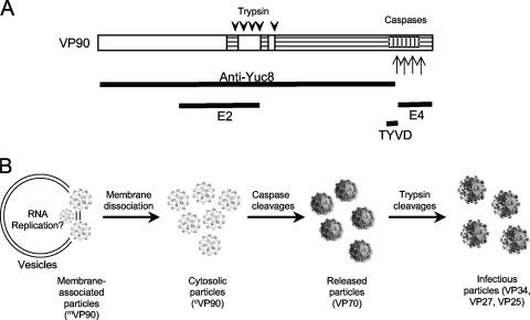 FIG. 10.