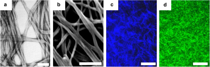 FIG. 8.