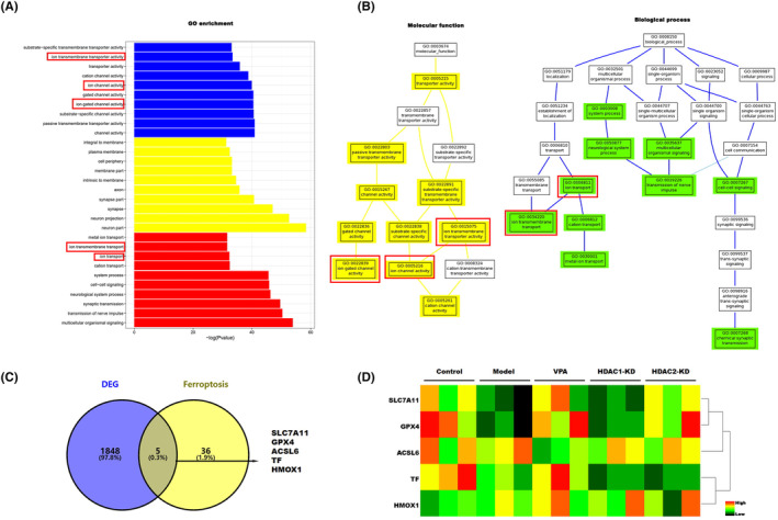 FIGURE 4