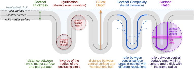 Figure 4: