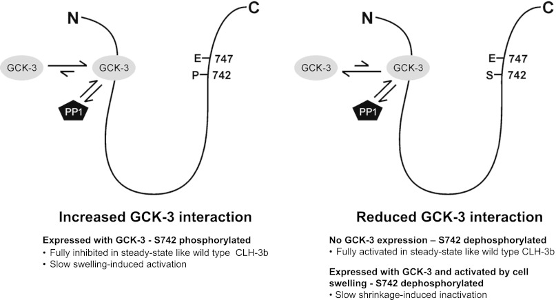 Fig. 9.