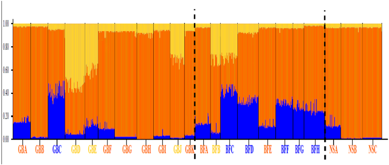 Figure 3: