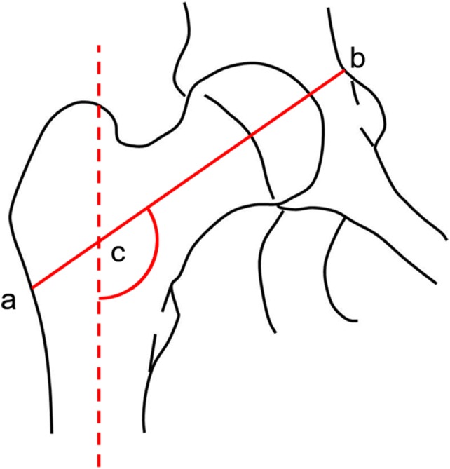 Fig. 2