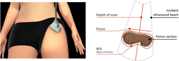 Fig. 4