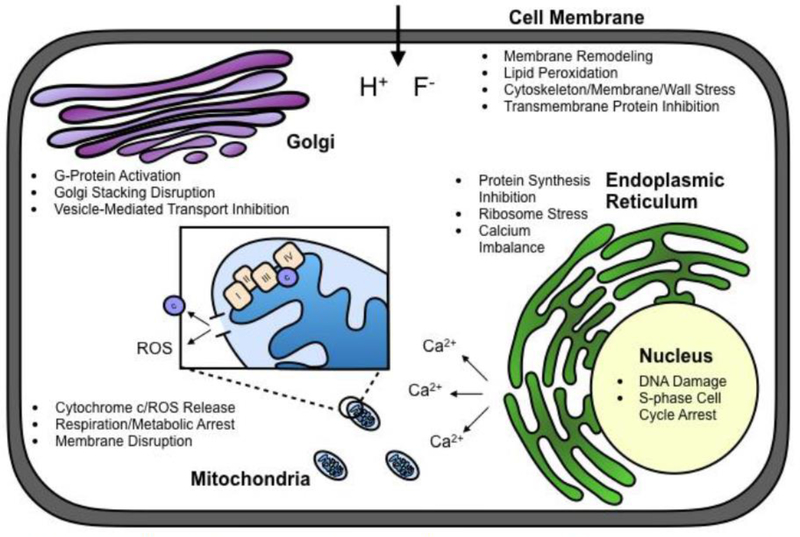 Figure 3: