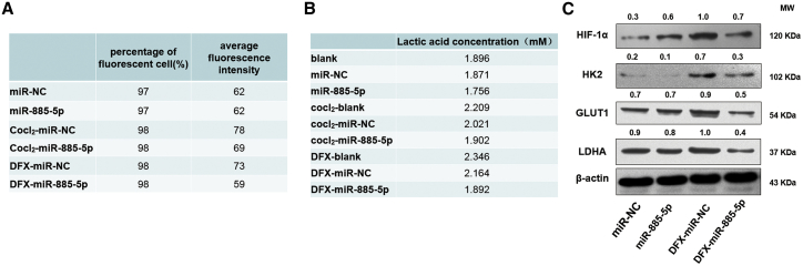 Figure 6