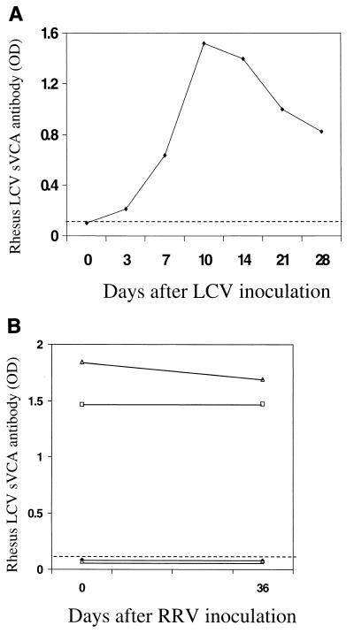 FIG. 6