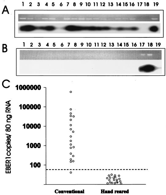 FIG. 5