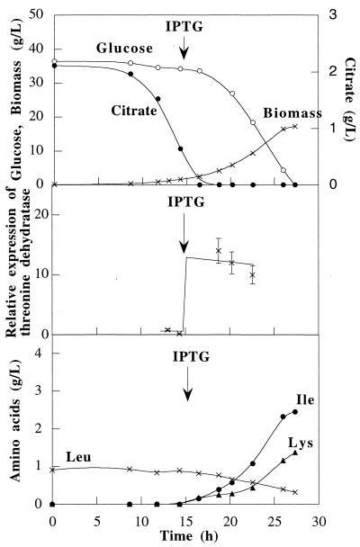 FIG. 5