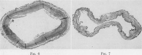 Fig. 6., Fig. 7.