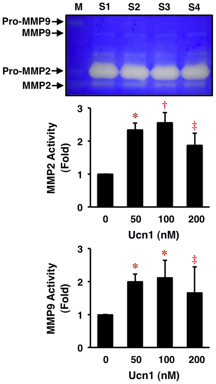 Figure 5