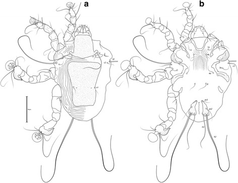 Fig. 16