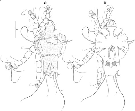 Fig. 15